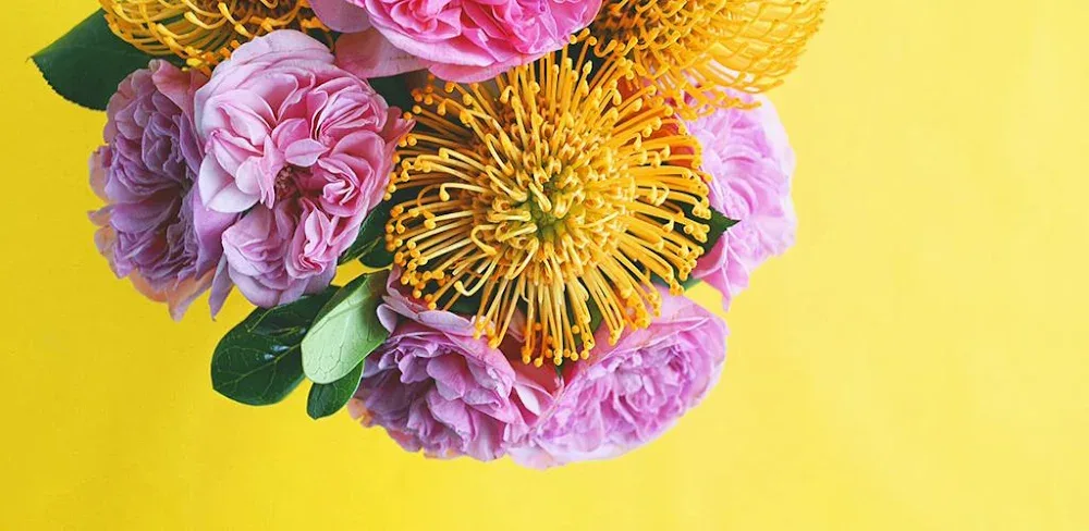 A Color Story v3.3.11.5 MOD APK (Premium Unlocked)