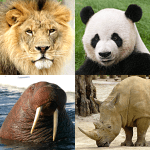 Animals Quiz Learn All Mammals v3.3.9.0 MOD APK (Unlimited Money)