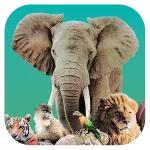 Ark Nova v1.1.0.5 APK (Full Game)