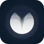 Aura KLWP v9.9.7.2 APK (Full Version)