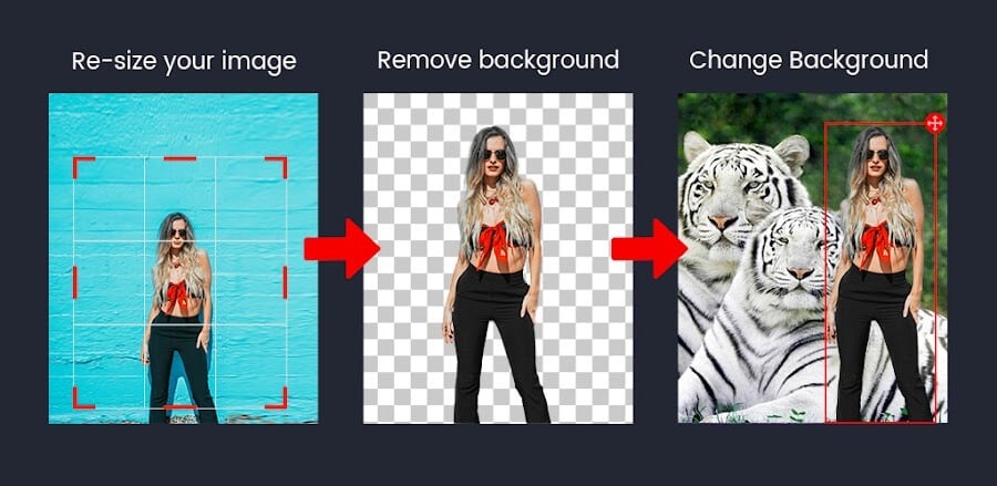Photo Background Changer: Edit v2.2.1.2 MOD APK (Premium Unlocked)