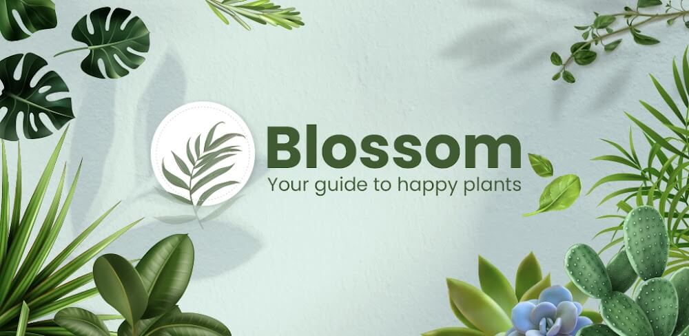 Blossom v1.1.56.4 MOD APK (Premium Unlocked)