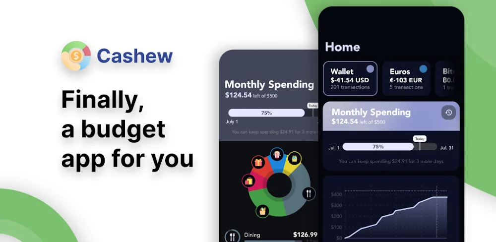 Cashew Budget Planner v5.5.4.4 MOD APK (Premium Unlocked)
