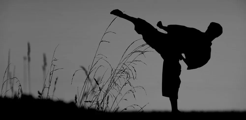 Flexibility for Fighters v2.27.google MOD APK (Premium Unlocked)