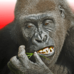 Flying Gorilla v5.5.0.20 MOD APK (Free Rewards)