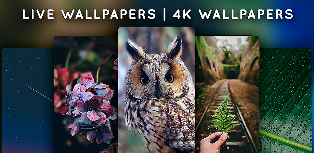 Live Wallpapers v5.5.7.1.1 MOD APK (Premium Unlocked)