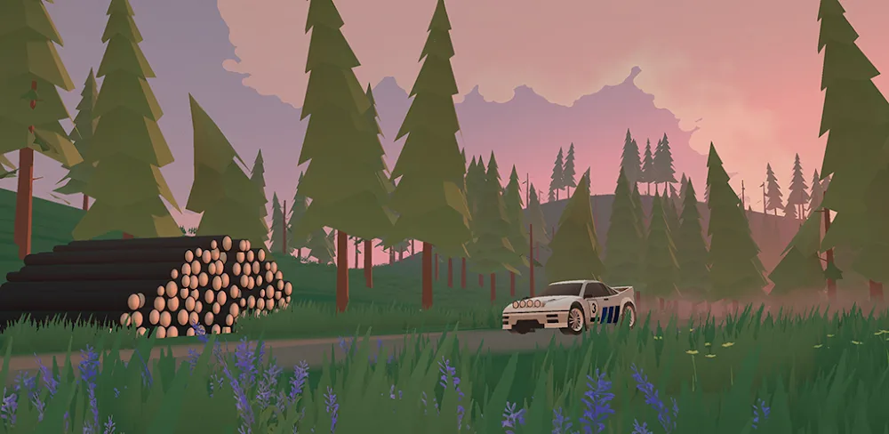 N3Rally v3.3.2.7 MOD APK (Free Purchases)