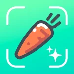 Nutrilio Food Tracker & Water v1.1.19.4 MOD APK (Premium Unlocked)