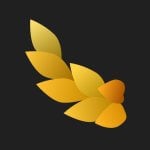 NYMF v1.1.5.4 MOD APK (Premium Unlocked)