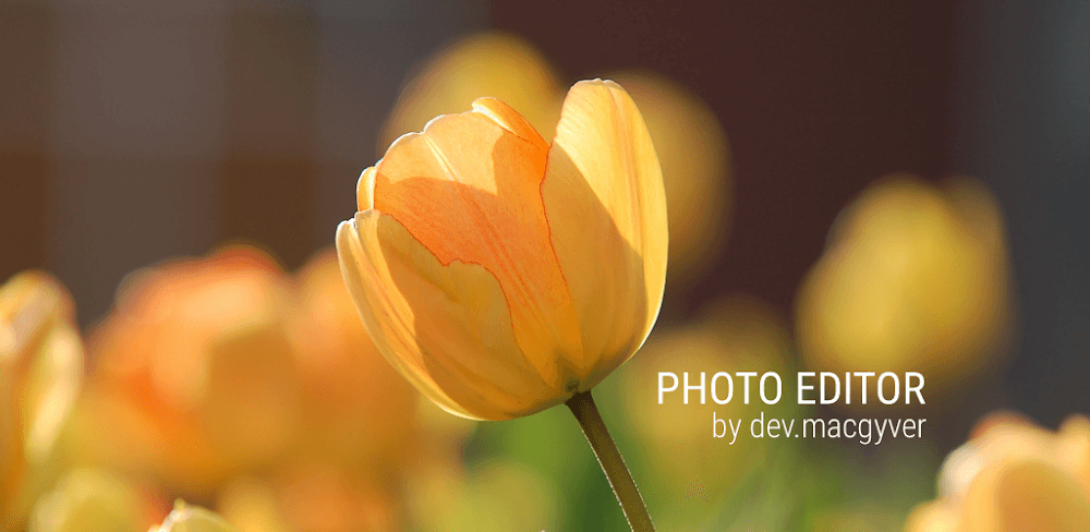 Photo Editor v12.12.7.1.1 MOD APK (Pro Unlocked)