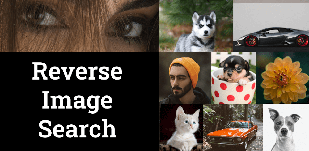 Photo Sherlock v1.1.132 MOD APK (Premium Unlocked)