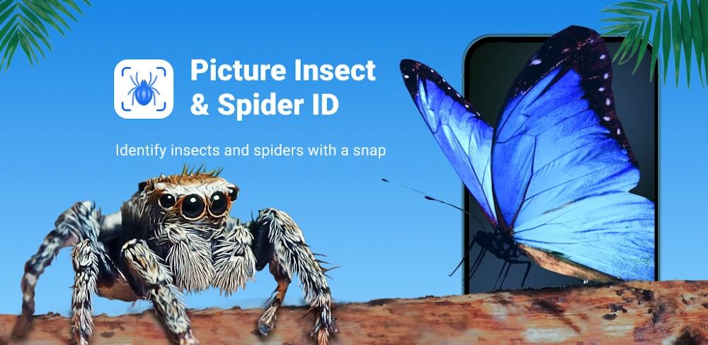 Picture Insect: Bug Identifier v2.2.9.0 MOD APK (Premium Unlocked)