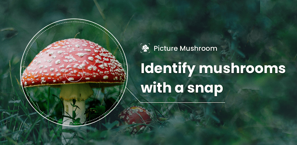 Picture Mushroom v2.2.9.31 APK + MOD (Premium Unlocked)
