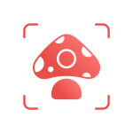 Picture Mushroom v2.2.9.31 APK + MOD (Premium Unlocked)