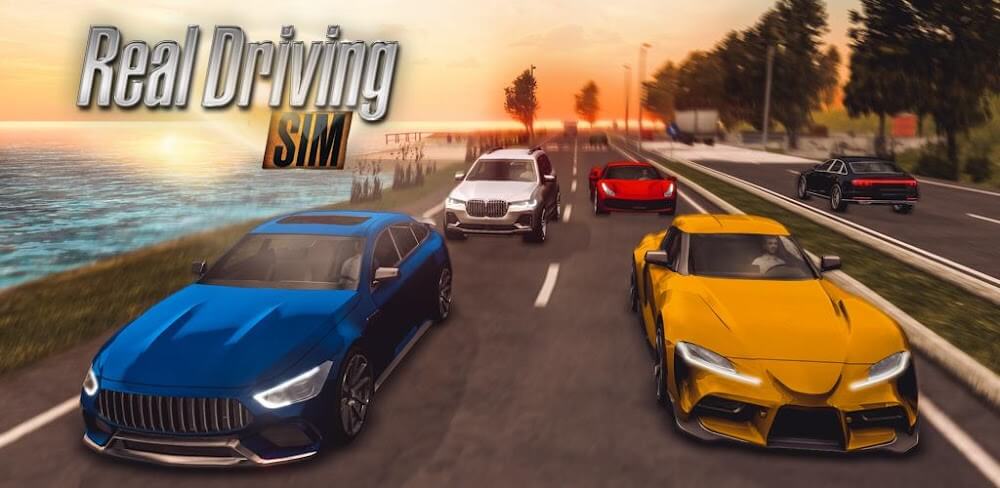 Real Driving Sim v6.6.1.1 MOD APK (Unlimited Money)