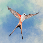 Wingspan: The Board Game v1.1.7.917 MOD APK (Unlocked)