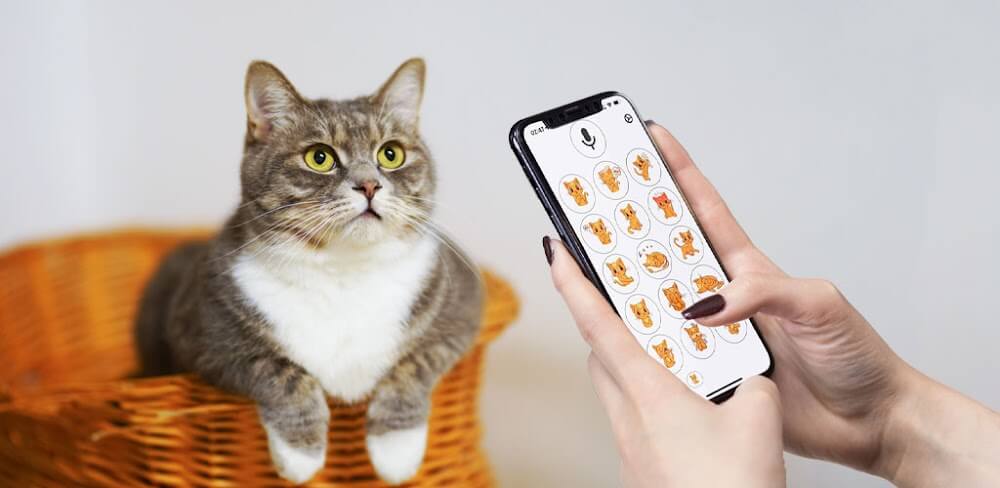 Human to Cat Translator MOD APK v1.1.0.24 (Premium Unlocked)