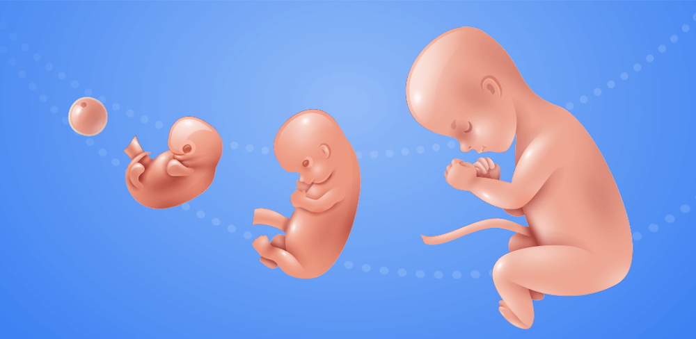 Idle 9 Months v1.1.41.7 MOD APK (Unlimited Cell, Nutrition)