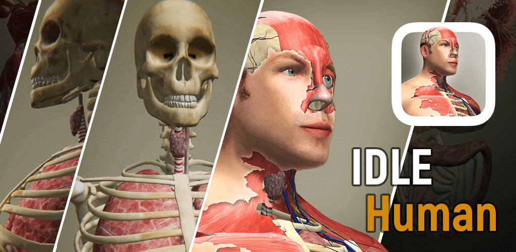 Idle Human MOD APK v1.1.23.8 (Unlimited Diamonds)
