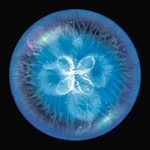 Osmos v2.2.9.0 APK (Unlocked Game)