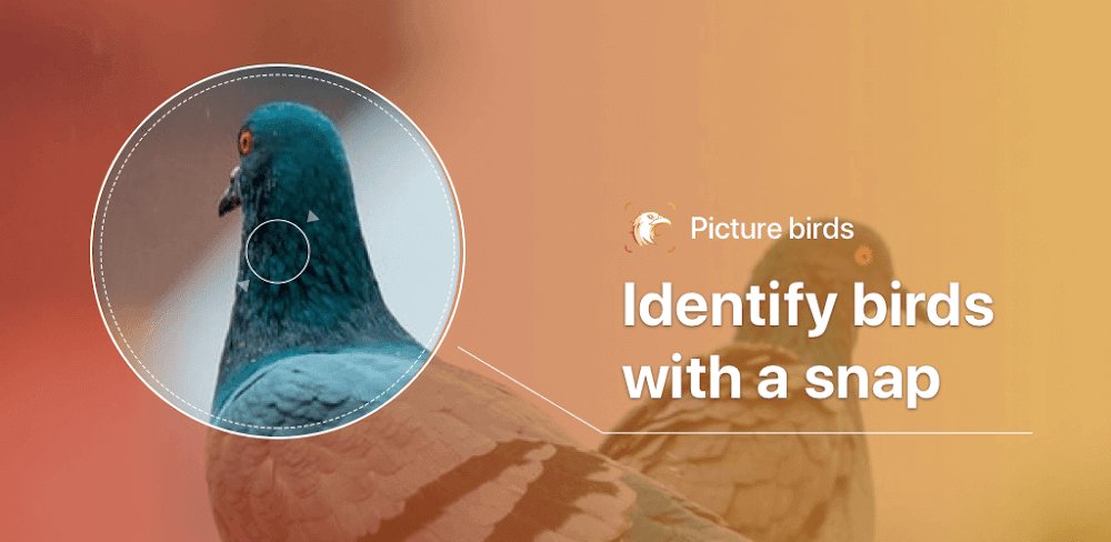 Picture Bird – Bird Identifier v2.2.9.32 MOD APK (Premium Unlocked)
