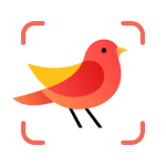 Picture Bird – Bird Identifier v2.2.9.32 MOD APK (Premium Unlocked)