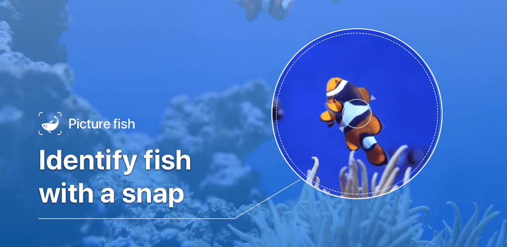 Picture Fish – Fish Identifier v2.2.4.23 MOD APK (Premium Unlocked)