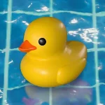 Placid Plastic Duck Simulator v0.0.9.70 APK (Unlocked Game)