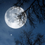 Relax Night v6.6.3.0 MOD APK (Premium Unlocked)