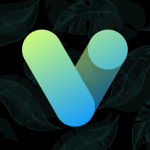 Vera Icon Pack APK v6.6.5.2 (Full Version)