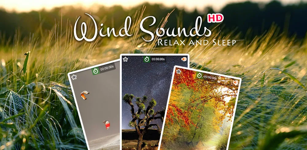 Wind Noise: Relax and Sleep v12.3 MOD APK (Premium Unlocked)